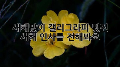 새해맞이 캘리그라피: 멋진 새해 인사를 전해봐요! ✨